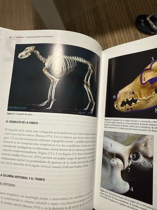manual de fisioterapia en pequeños animales