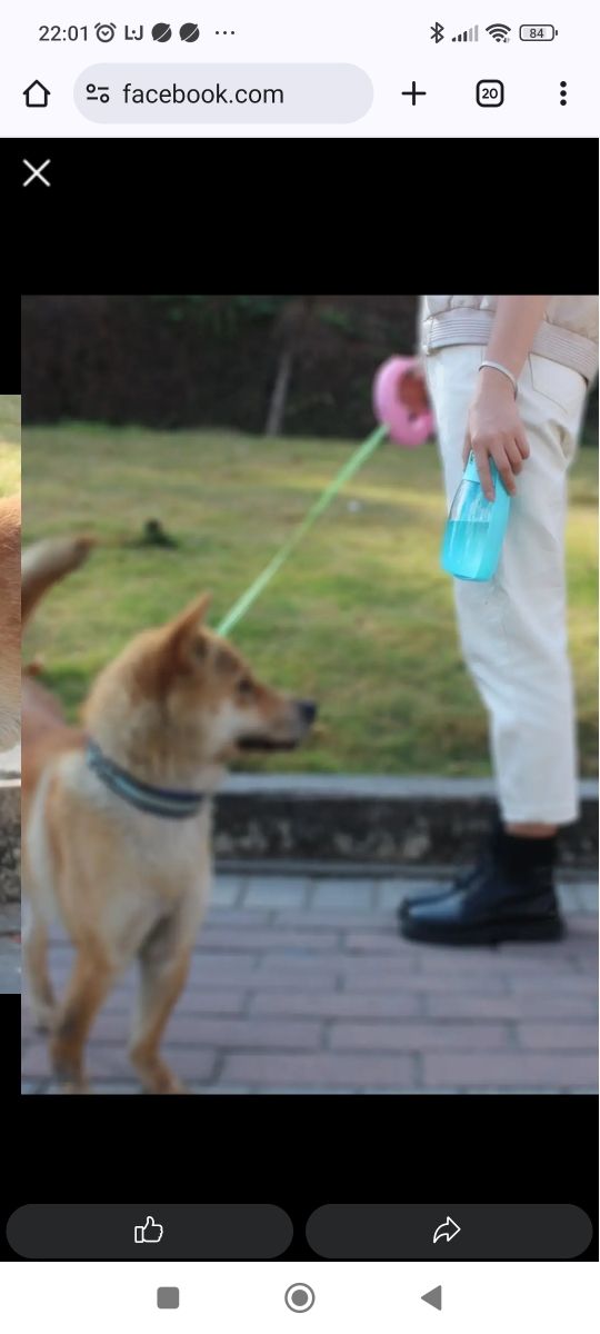 Borraccia pieghevole animali