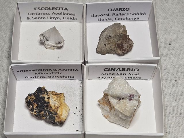 Lotto di 24 minerali in scatole da 4 x 4