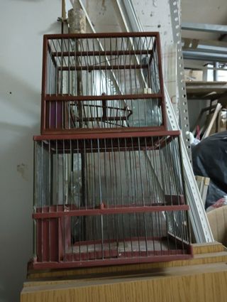 2 Jaulas pájaros  frijilidos