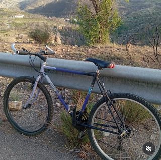 Bicicleta montaña Orbea Serpa