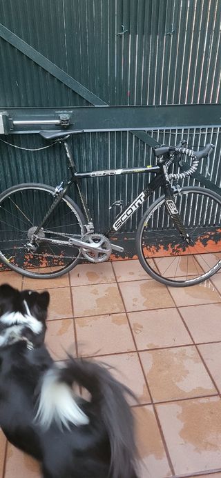 Bicicleta Scott CR1 carbono talla 54