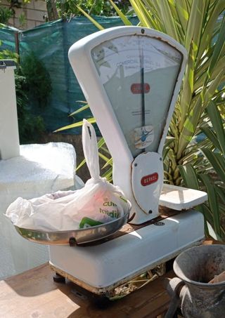 Bascula Berkel antigua
