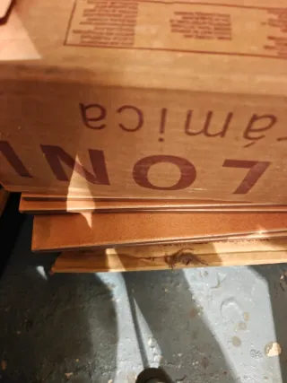 25 Baldosas Gres BLLA 31x31