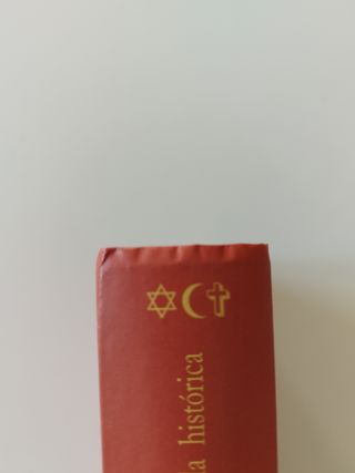 El tesoro de los templarios. Hanny Alders