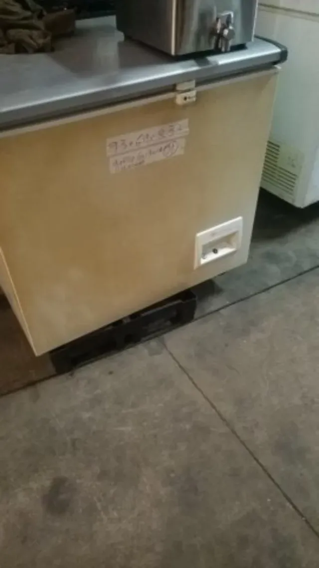 Essiccatore semiindustriale usato