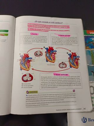 Biología y Geología 3 ESO 3 volúmenes Proyecto ...