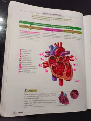Biología y Geología 3 ESO 3 volúmenes Proyecto ...