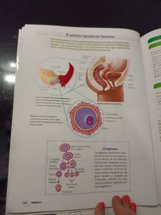 Biología y Geología 3 ESO 3 volúmenes Proyecto ...