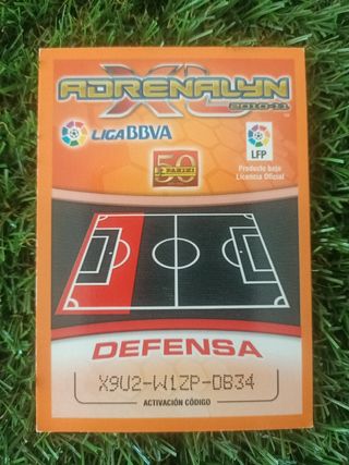 Lote de 14 cromos Adrenalyn XL 2010 Real Madrid
