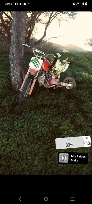 Pit bike 125cc - Motocross