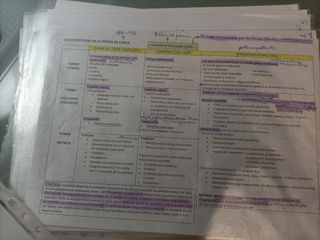 Apuntes Literatura Castellano bachiller, selectivo