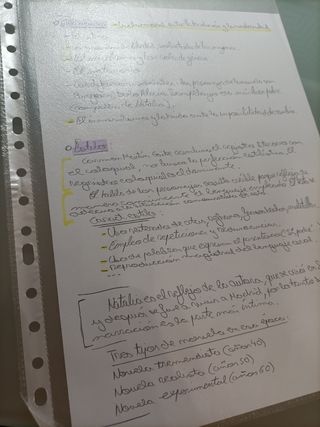 Apuntes Literatura Castellano bachiller, selectivo