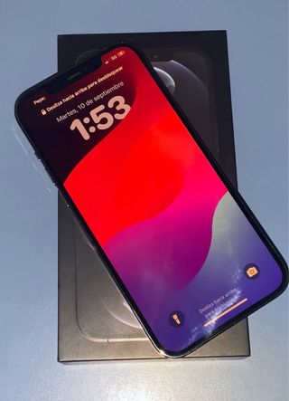 iPhone 12 Pro Max Gris Espacial
