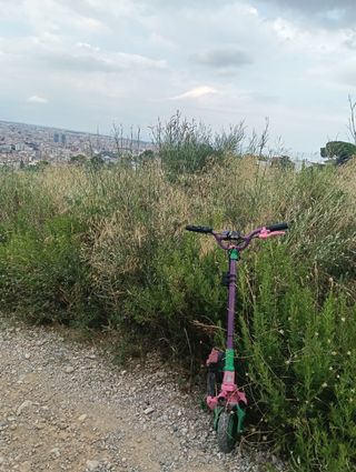 Patinete eléctrico adulto
