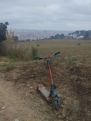 Patinete eléctrico adulto