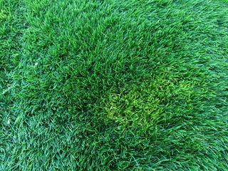 50 (m²) aprox Cesped artificial  35 mm