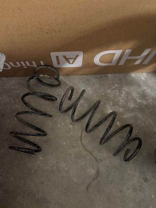 Muelles Seat Ibiza 6L