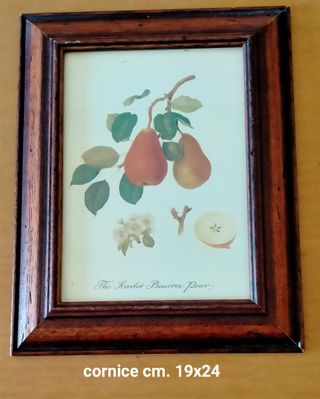 Quadretti vintage: stampe frutta e figura dama 