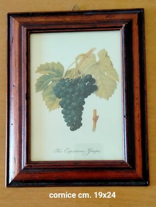 Quadretti vintage: stampe frutta e figura dama 
