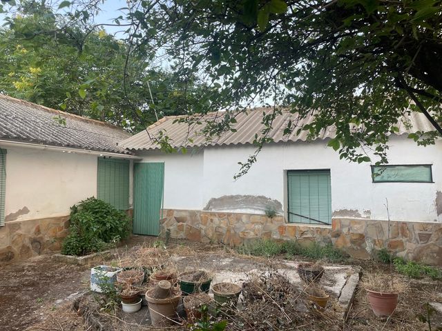 REF 25078- CASA EN ARGAMASILLA DE CALATRAVA