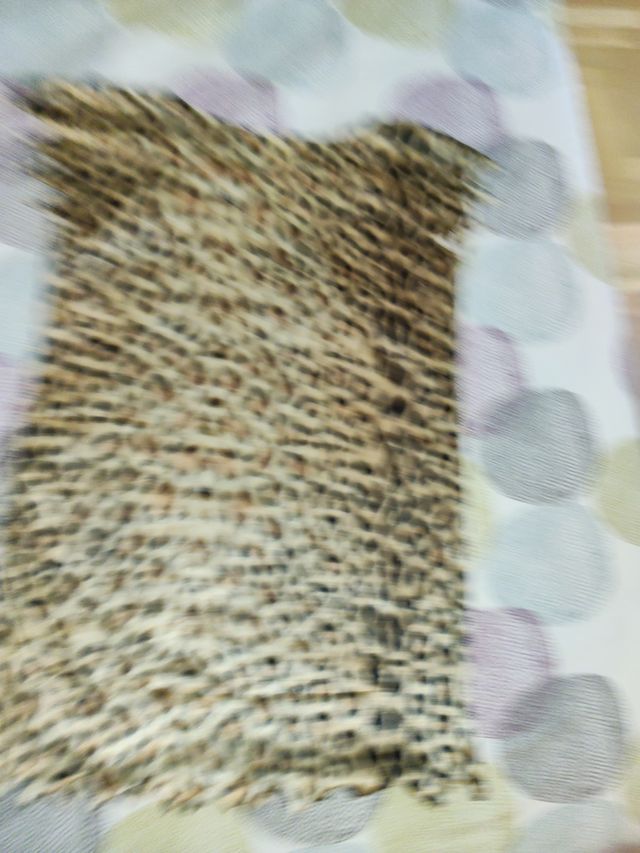 Disfraz cavernícola niño