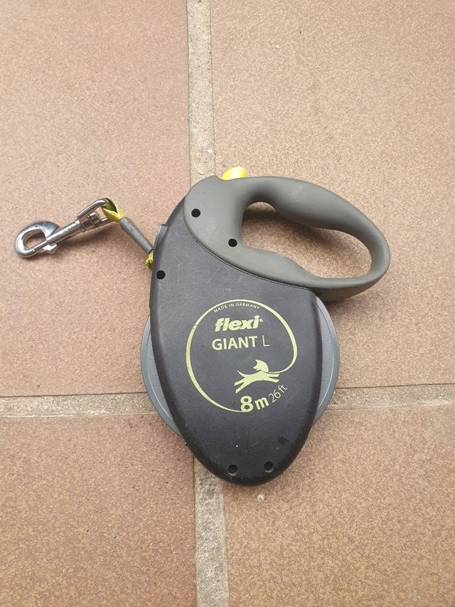 Correa perro 8m - Flexi Giant L