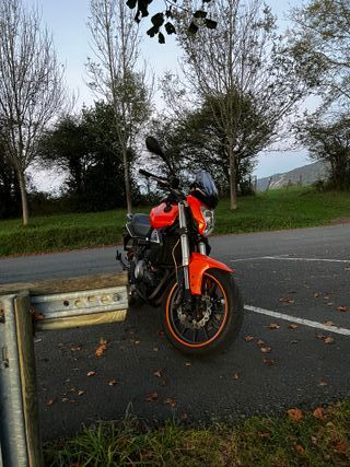 Benelli 300 - Impecable