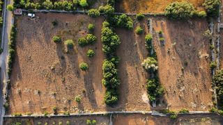 Terreno en venta en Santa Margalida en Santa Margalida