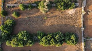 Terreno en venta en Santa Margalida en Santa Margalida