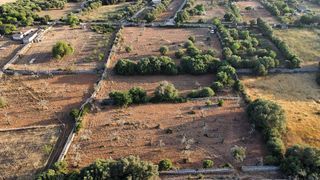 Terreno en venta en Santa Margalida en Santa Margalida