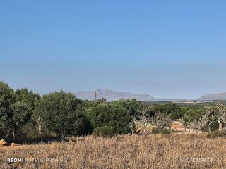 Terreno en venta en Santa Margalida en Santa Margalida