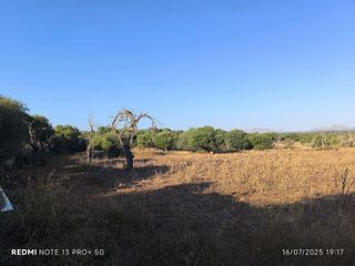 Terreno en venta en Santa Margalida en Santa Margalida