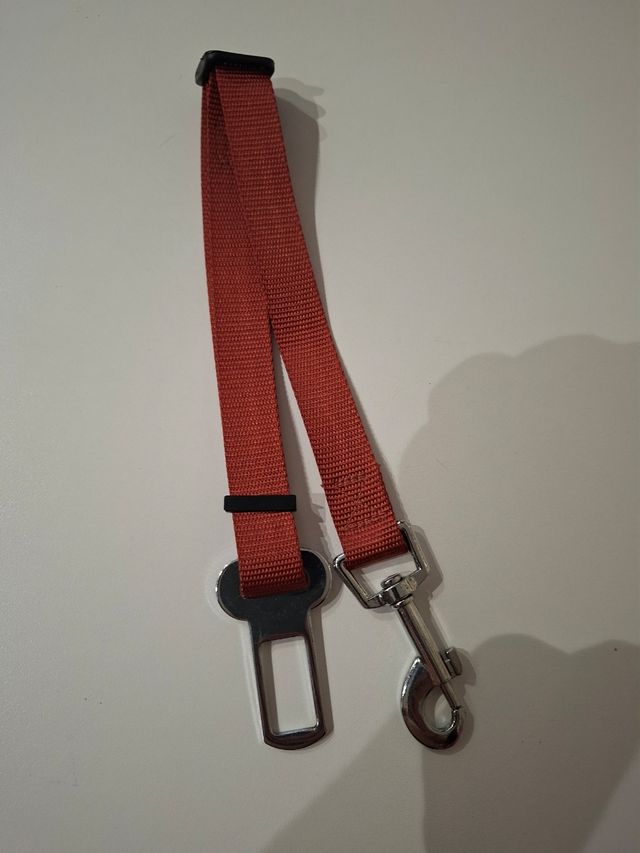 Cintura rossa per auto per cani