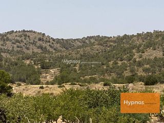 Terreno en venta en Abanilla