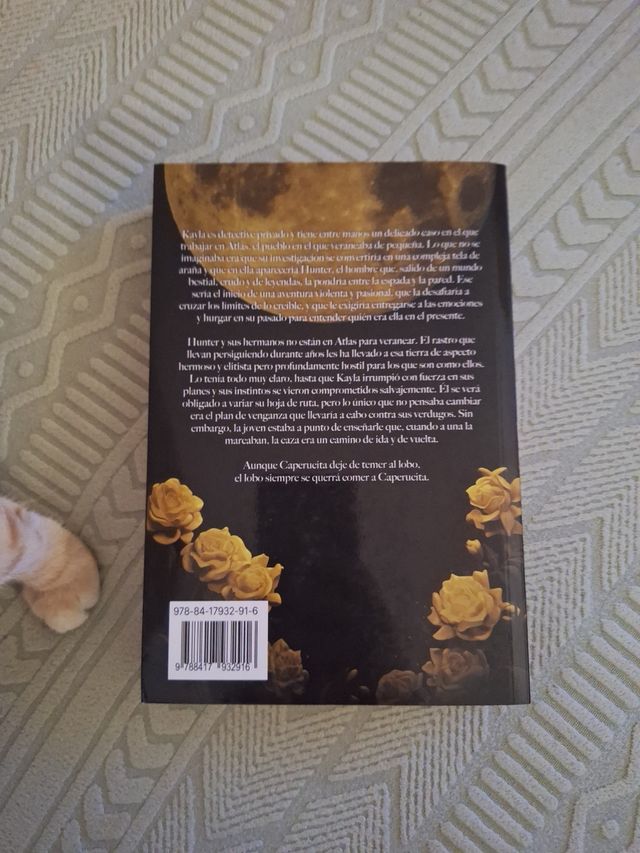 PARA VERTE MEJOR: Las sombras del Alpha 1 (Span...