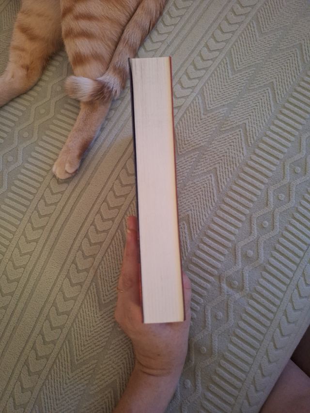 Firelight, 1. Firelight. Alma de fuego (Spanish...