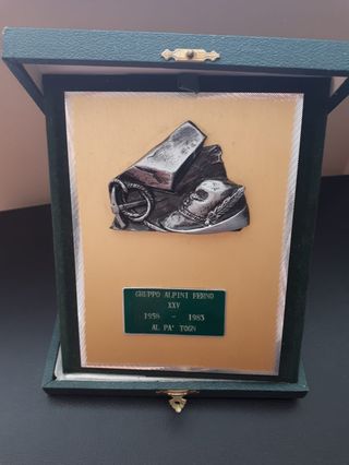 Targa Alpini Fermo -XXV- 1958-1983