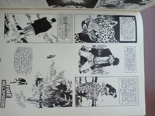 Dylan Dog. Quando cadono le stelle