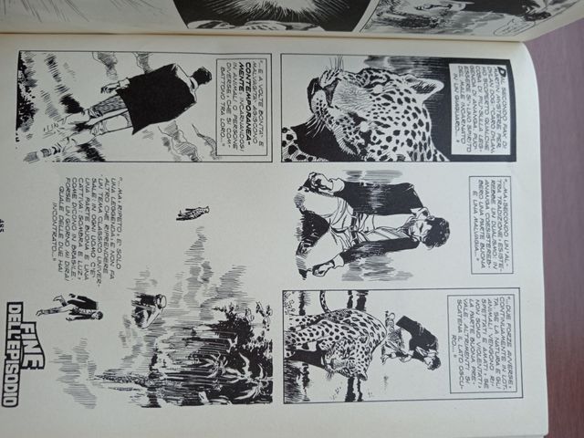 Dylan Dog. Quando cadono le stelle