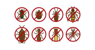 Control de plagas, ácaros, chinches y cucarachas