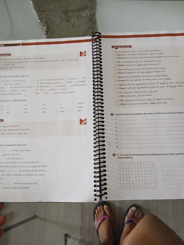 Ortografía Práctica I