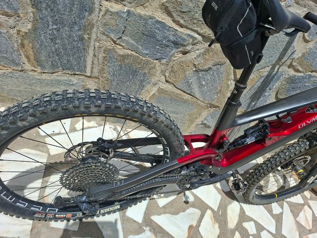 Olympia Hammer e-bike