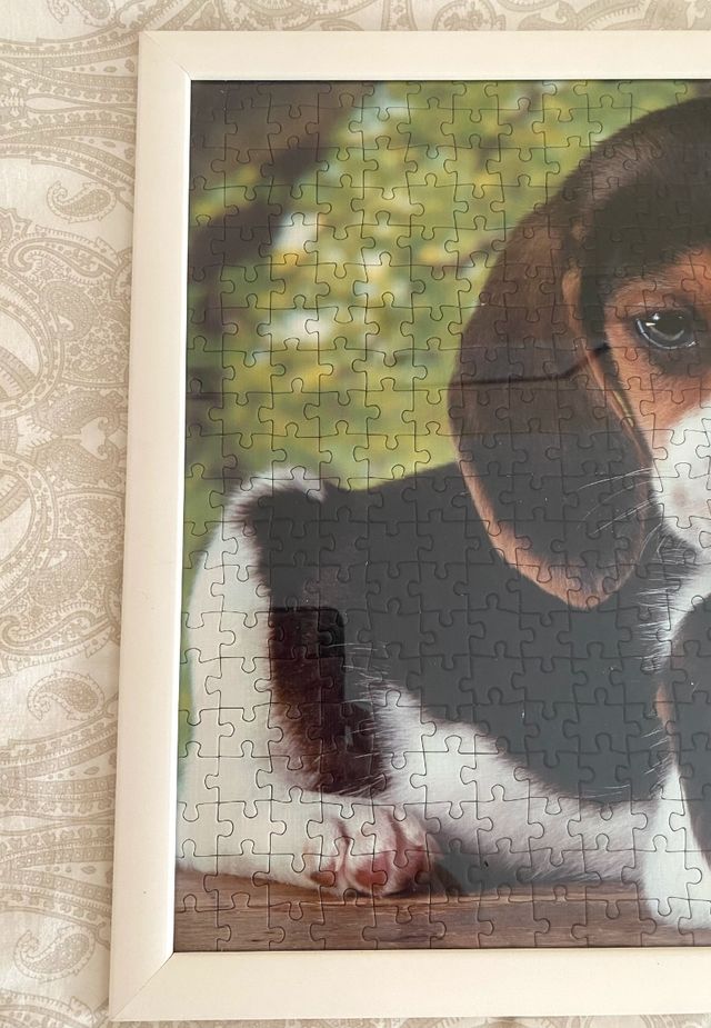 Puzzle perritos Beagle