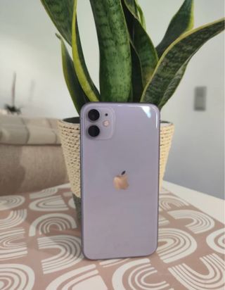 Iphone 11 lila