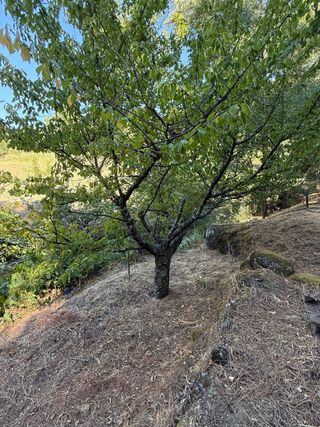 Terreno rústico entre Arenas y El Hornillo