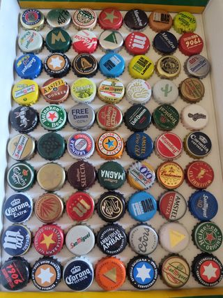 Lote chapas SOLO cervezas