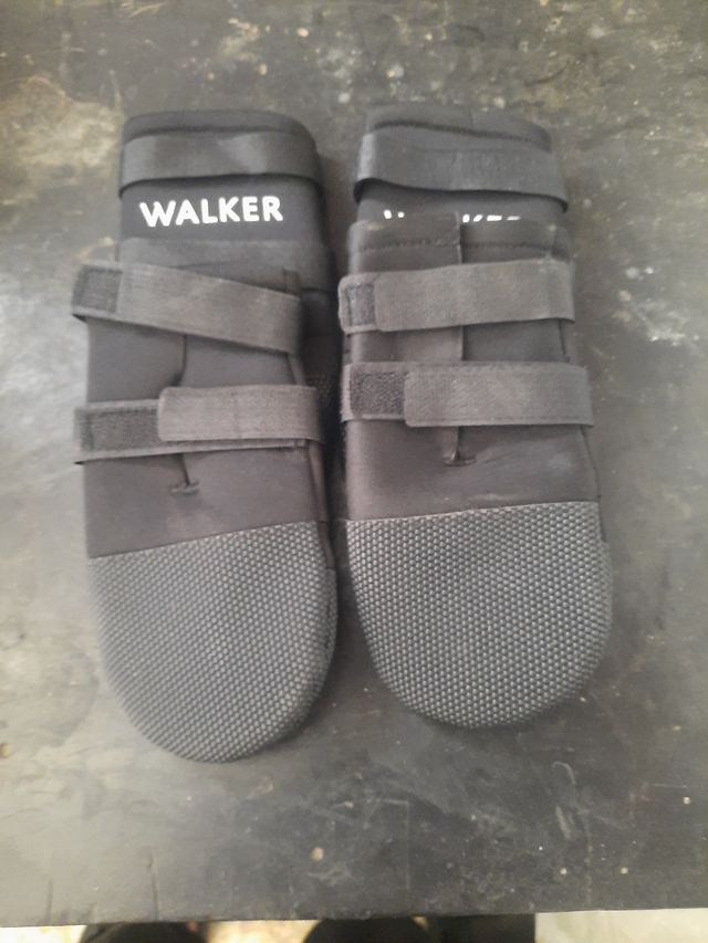 Botines neopreno perro WALKER