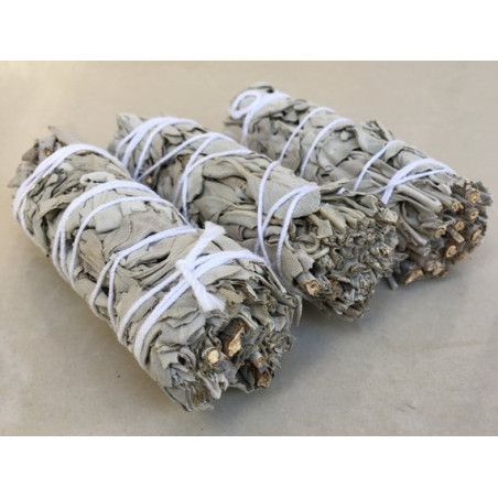 1 Atado de Salvia Blanca de California Incienso