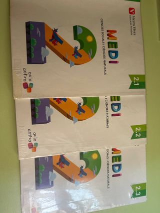 Medi 2n primaria